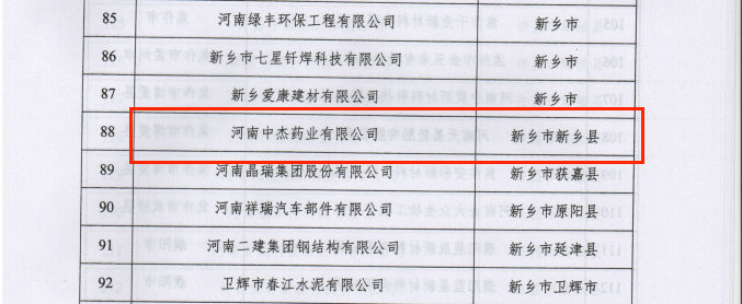 圖片13